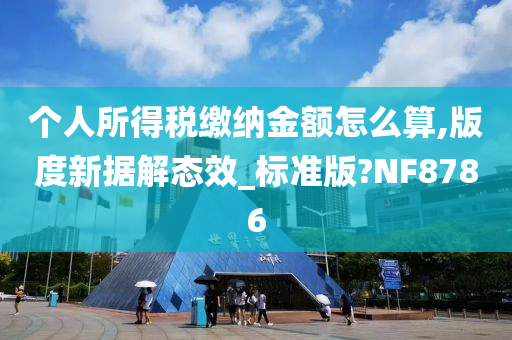 个人所得税缴纳金额怎么算,版度新据解态效_标准版?NF8786