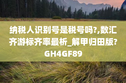 纳税人识别号是税号吗?,数汇齐游标齐率最析_解甲归田版?GH4GF89