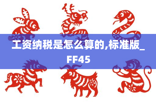 工资纳税是怎么算的,标准版_FF45