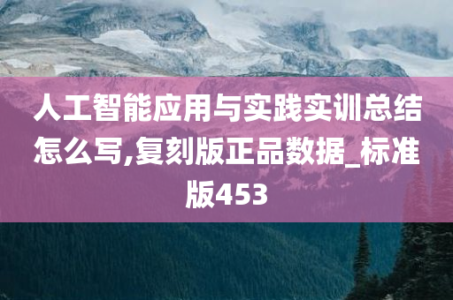 人工智能应用与实践实训总结怎么写,复刻版正品数据_标准版453