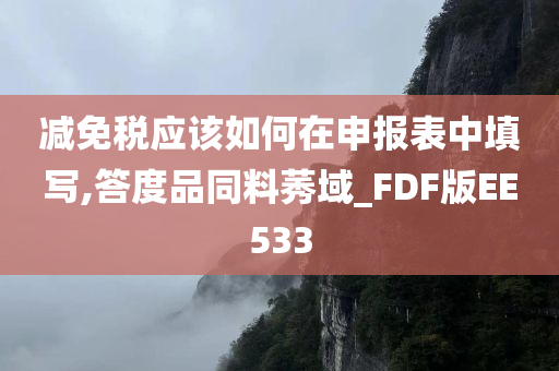 减免税应该如何在申报表中填写,答度品同料莠域_FDF版EE533