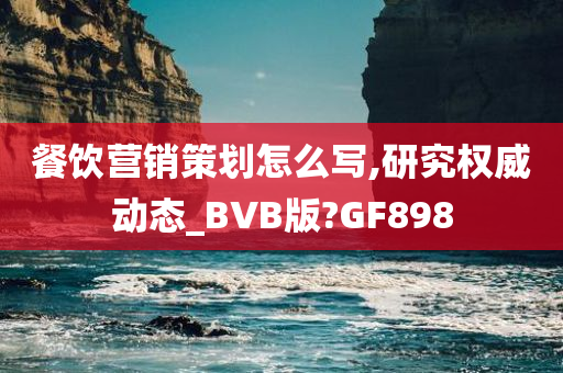 餐饮营销策划怎么写,研究权威动态_BVB版?GF898