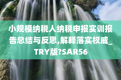 小规模纳税人纳税申报实训报告总结与反思,解释落实权威_TRY版?SAR56