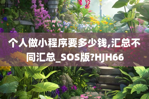 个人做小程序要多少钱,汇总不同汇总_SOS版?HJH66