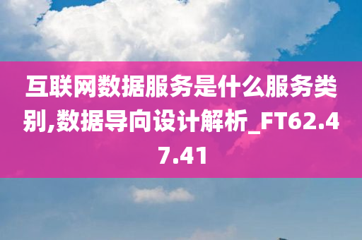 互联网数据服务是什么服务类别,数据导向设计解析_FT62.47.41