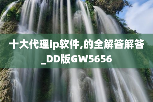 十大代理ip软件,的全解答解答_DD版GW5656