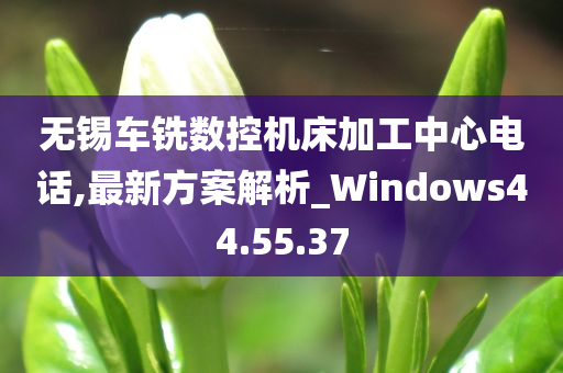 无锡车铣数控机床加工中心电话,最新方案解析_Windows44.55.37