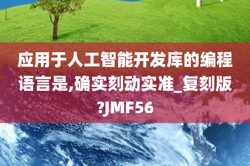 应用于人工智能开发库的编程语言是,确实刻动实准_复刻版?JMF56