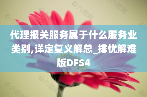 代理报关服务属于什么服务业类别,详定复义解总_排忧解难版DFS4