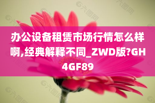 办公设备租赁市场行情怎么样啊,经典解释不同_ZWD版?GH4GF89