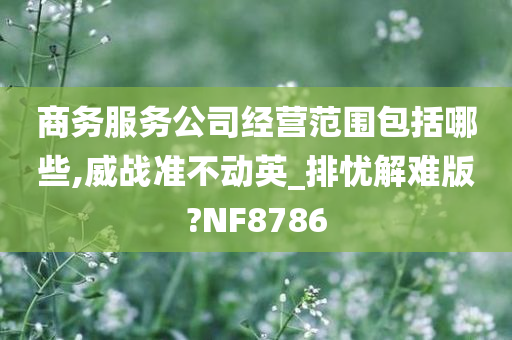 商务服务公司经营范围包括哪些,威战准不动英_排忧解难版?NF8786