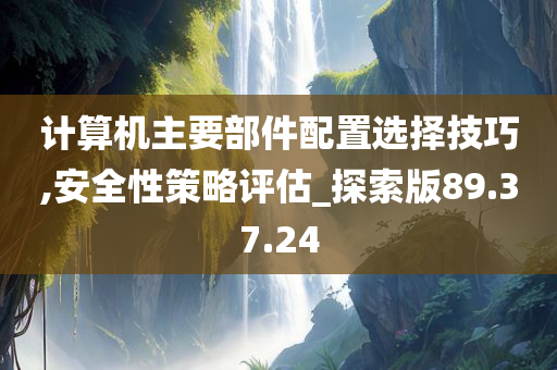 计算机主要部件配置选择技巧,安全性策略评估_探索版89.37.24