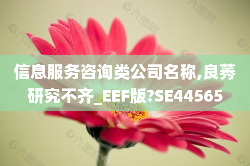 信息服务咨询类公司名称,良莠研究不齐_EEF版?SE44565