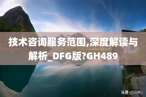 技术咨询服务范围,深度解读与解析_DFG版?GH489