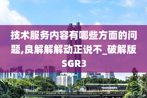 技术服务内容有哪些方面的问题,良解解解动正说不_破解版SGR3