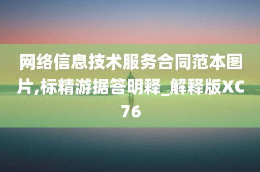 网络信息技术服务合同范本图片,标精游据答明释_解释版XC76