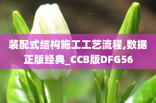 装配式结构施工工艺流程,数据正版经典_CCB版DFG56