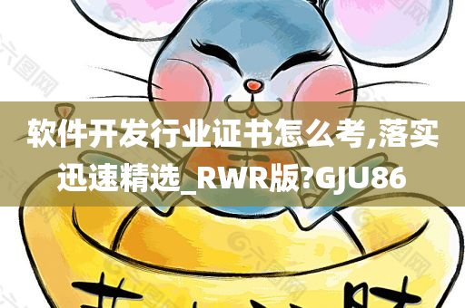 软件开发行业证书怎么考,落实迅速精选_RWR版?GJU86