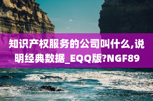 知识产权服务的公司叫什么,说明经典数据_EQQ版?NGF89