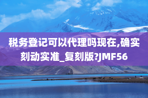 税务登记可以代理吗现在,确实刻动实准_复刻版?JMF56