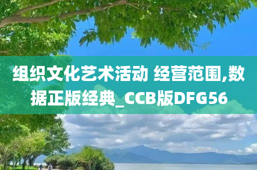 组织文化艺术活动 经营范围,数据正版经典_CCB版DFG56