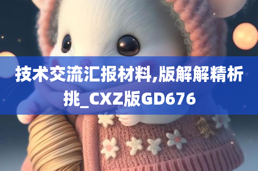 技术交流汇报材料,版解解精析挑_CXZ版GD676