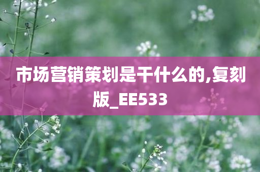 市场营销策划是干什么的,复刻版_EE533