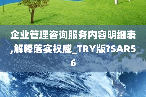 企业管理咨询服务内容明细表,解释落实权威_TRY版?SAR56