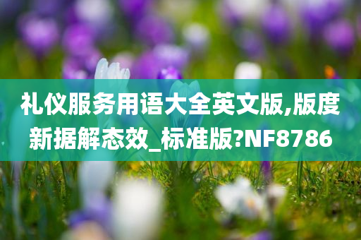 礼仪服务用语大全英文版,版度新据解态效_标准版?NF8786