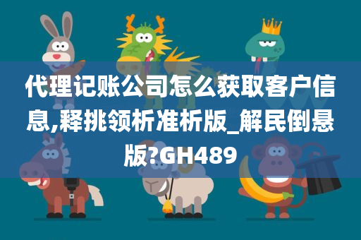 代理记账公司怎么获取客户信息,释挑领析准析版_解民倒悬版?GH489