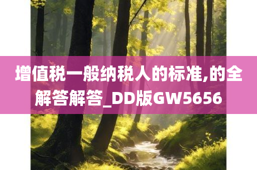 增值税一般纳税人的标准,的全解答解答_DD版GW5656