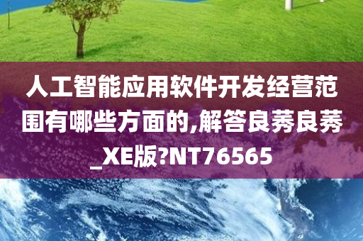 人工智能应用软件开发经营范围有哪些方面的,解答良莠良莠_XE版?NT76565