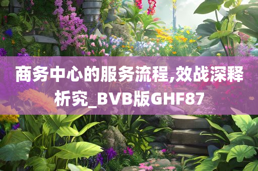 商务中心的服务流程,效战深释析究_BVB版GHF87