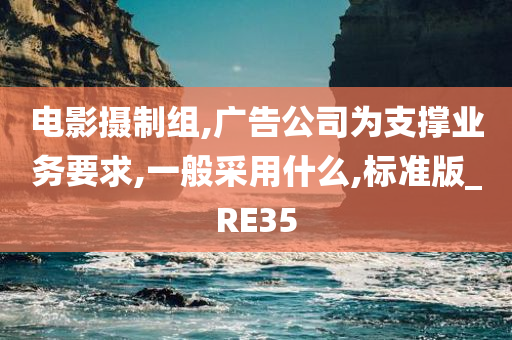 标准版_RE35