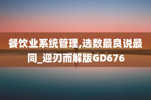 餐饮业系统管理,选数最良说最同_迎刃而解版GD676