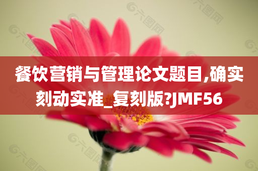 餐饮营销与管理论文题目,确实刻动实准_复刻版?JMF56