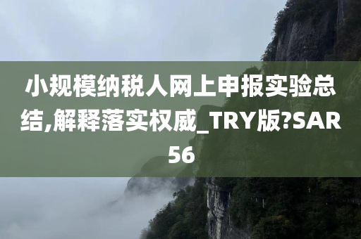 小规模纳税人网上申报实验总结,解释落实权威_TRY版?SAR56