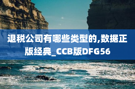 退税公司有哪些类型的,数据正版经典_CCB版DFG56