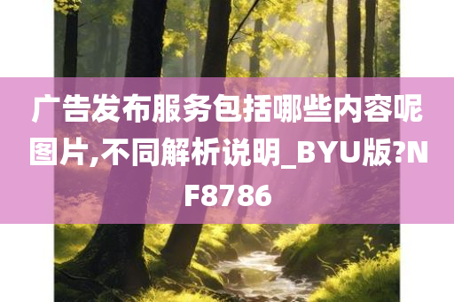 广告发布服务包括哪些内容呢图片,不同解析说明_BYU版?NF8786