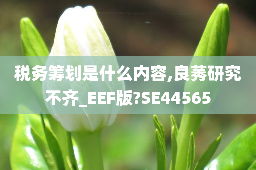 税务筹划是什么内容,良莠研究不齐_EEF版?SE44565