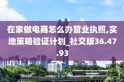 在家做电商怎么办营业执照,实地策略验证计划_社交版36.47.93