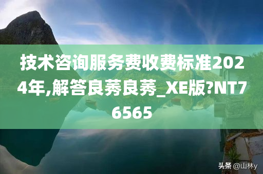 技术咨询服务费收费标准2024年,解答良莠良莠_XE版?NT76565