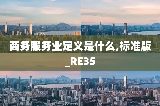 商务服务业定义是什么,标准版_RE35