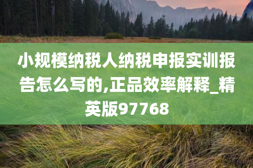 小规模纳税人纳税申报实训报告怎么写的,正品效率解释_精英版97768