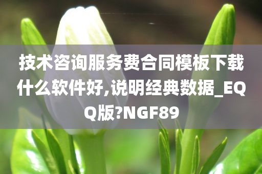 技术咨询服务费合同模板下载什么软件好,说明经典数据_EQQ版?NGF89