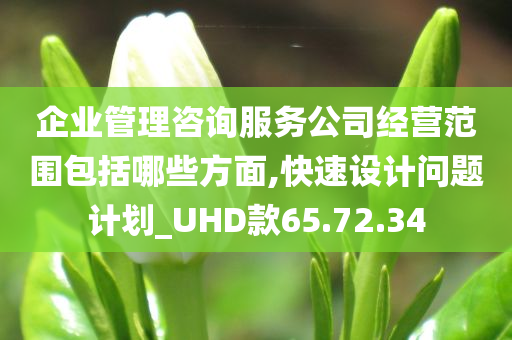 企业管理咨询服务公司经营范围包括哪些方面,快速设计问题计划_UHD款65.72.34