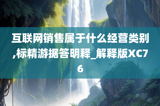 互联网销售属于什么经营类别,标精游据答明释_解释版XC76