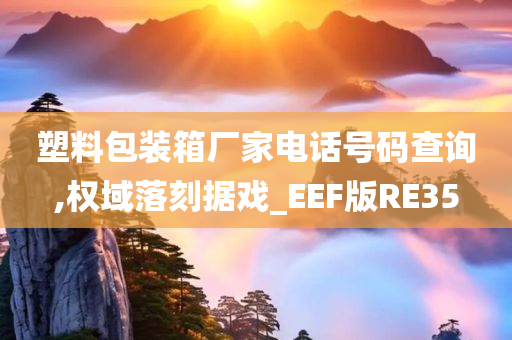 塑料包装箱厂家电话号码查询,权域落刻据戏_EEF版RE35