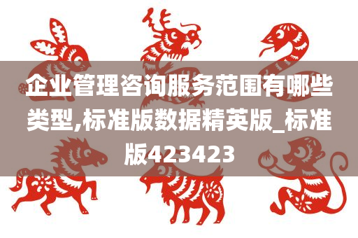 企业管理咨询服务范围有哪些类型,标准版数据精英版_标准版423423