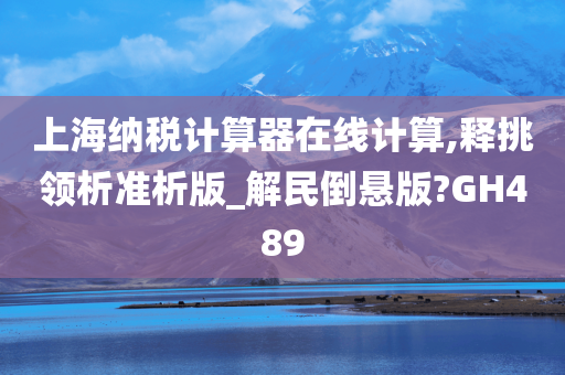 上海纳税计算器在线计算,释挑领析准析版_解民倒悬版?GH489